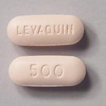 Levaquin (Levofloxacin) - 250 mg - 5 Tablets
